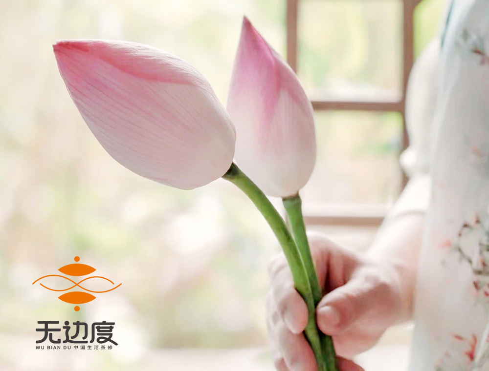 02锐言《因果品牌》-无边度茶修品牌全案设计